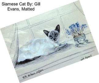 Siamese Cat By: Gill Evans, Matted