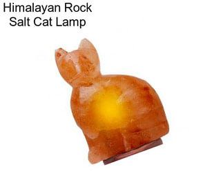 Himalayan Rock Salt Cat Lamp