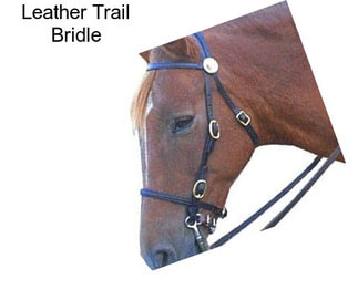 Leather Trail Bridle