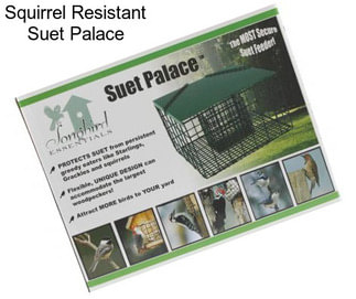 Squirrel Resistant Suet Palace