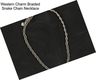 Western Charm Braided Snake Chain Necklace