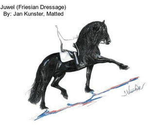 Juwel (Friesian Dressage) By: Jan Kunster, Matted