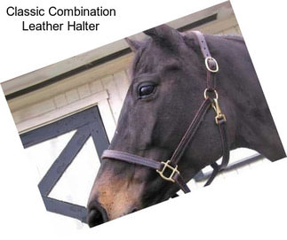 Classic Combination Leather Halter