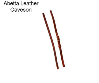 Abetta Leather Caveson