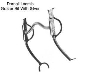 Darnall Loomis Grazer Bit With Silver