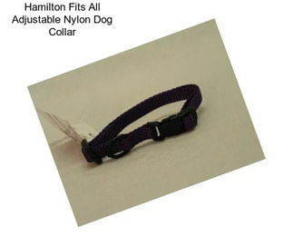 Hamilton Fits All Adjustable Nylon Dog Collar