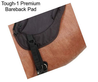Tough-1 Premium Bareback Pad