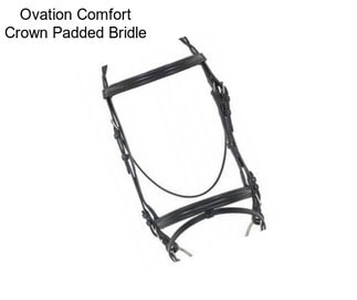 Ovation Comfort Crown Padded Bridle