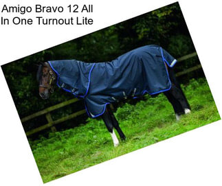 Amigo Bravo 12 All In One Turnout Lite