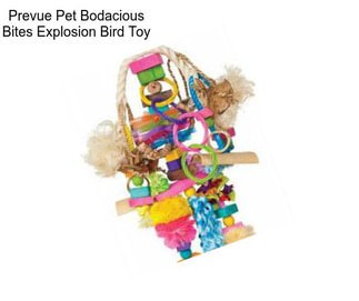 Prevue Pet Bodacious Bites Explosion Bird Toy