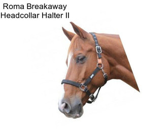 Roma Breakaway Headcollar Halter II