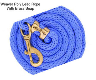 Weaver Poly Lead Rope With Brass Snap