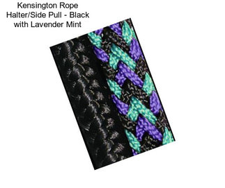 Kensington Rope Halter/Side Pull - Black with Lavender Mint