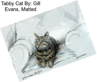 Tabby Cat By: Gill Evans, Matted
