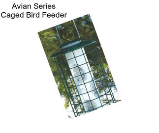 Avian Series Caged Bird Feeder