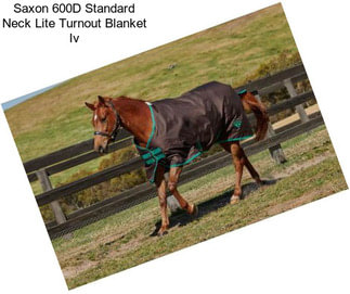 Saxon 600D Standard Neck Lite Turnout Blanket Iv