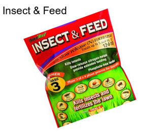 Insect & Feed