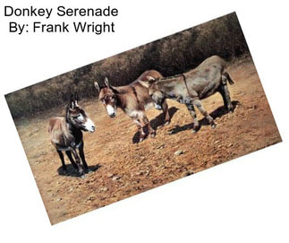 Donkey Serenade By: Frank Wright