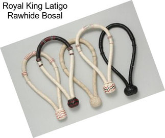 Royal King Latigo Rawhide Bosal