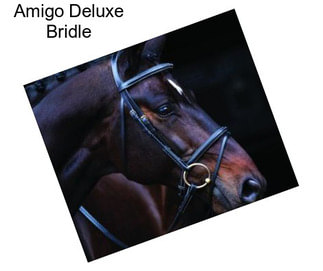 Amigo Deluxe Bridle