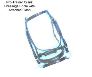 Pro-Trainer Crank Dressage Bridle with Attached Flash