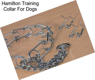 Hamilton Training Collar For Dogs