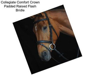 Collegiate Comfort Crown Padded Raised Flash Bridle