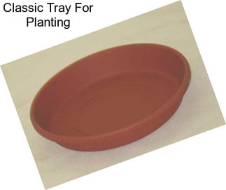 Classic Tray For Planting