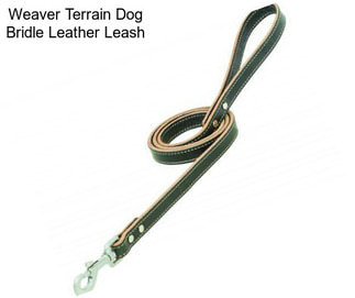 Weaver Terrain Dog Bridle Leather Leash