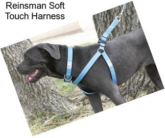 Reinsman Soft Touch Harness