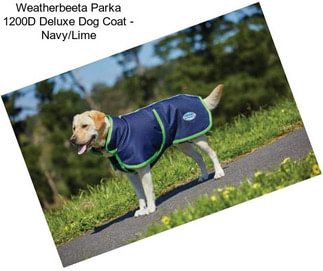 Weatherbeeta Parka 1200D Deluxe Dog Coat - Navy/Lime