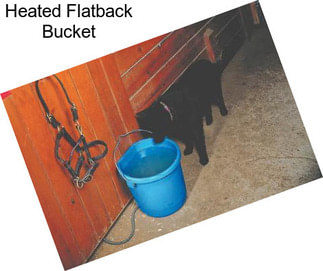 Heated Flatback Bucket