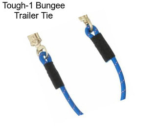 Tough-1 Bungee Trailer Tie