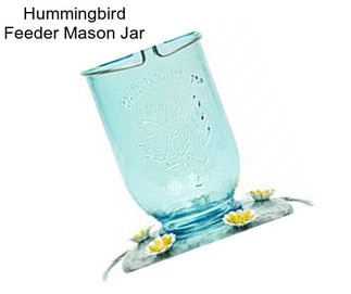 Hummingbird Feeder Mason Jar