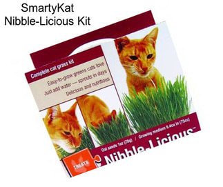 SmartyKat Nibble-Licious Kit