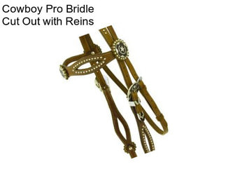 Cowboy Pro Bridle Cut Out with Reins