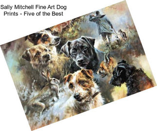 Sally Mitchell Fine Art Dog Prints - Five of the Best