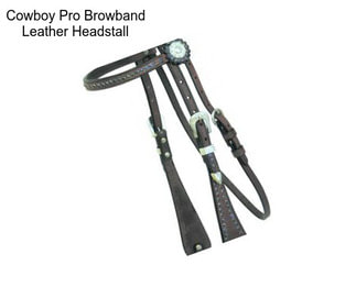 Cowboy Pro Browband Leather Headstall