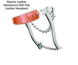 Weaver Leather Hackamore With Flat Leather Noseband