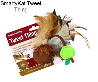 SmartyKat Tweet Thing
