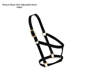 Weaver Basic Non-Adjustable Nylon Halter