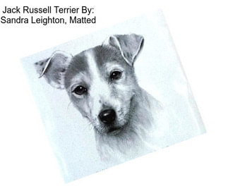 Jack Russell Terrier By: Sandra Leighton, Matted