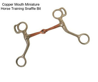 Copper Mouth Miniature Horse Training Snaffle Bit