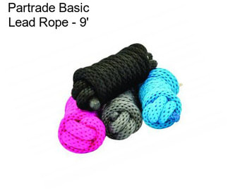 Partrade Basic Lead Rope - 9\'