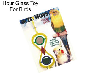 Hour Glass Toy For Birds