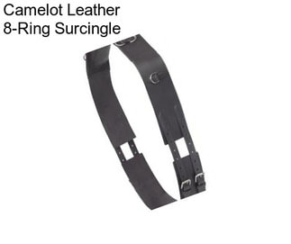 Camelot Leather 8-Ring Surcingle
