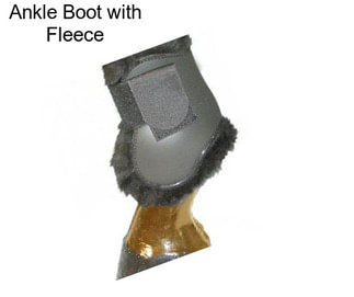 Ankle Boot with Fleece