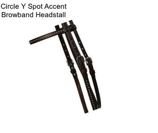 Circle Y Spot Accent Browband Headstall