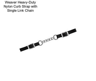 Weaver Heavy-Duty Nylon Curb Strap with Single Link Chain