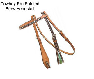 Cowboy Pro Painted Brow Headstall